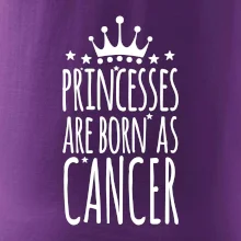 Princesses are born as Cancer - Rak Princesses are born as Cancer - Rak