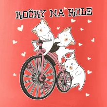Kočky na kole