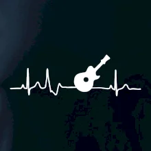 EKG akustická kytara EKG akustická kytara