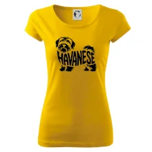 Havanese nápis v těle