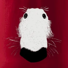 Barzoj čumák (Moňas)