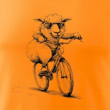 Ovce s brýlemi na kole