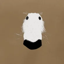 Barzoj čumák (Moňas)