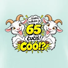 Těmhle holkám je 65, čučíš co?