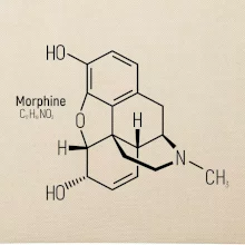 Molekulární struktura Morfin
