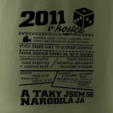 2011 v kostce