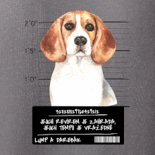 Lump a darebák bígl