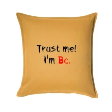 Trust me I´m  Bc. / Věř mi jsem Bc. Trust me I´m  Bc. / Věř mi jsem Bc.