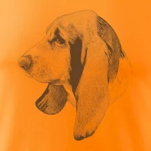 Basset - kreslená hlava