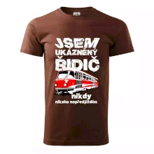 Jsem ukázněný řidič - tramvaj