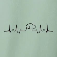Labrador EKG