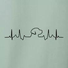 Labrador EKG Labrador EKG
