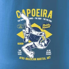 Capoeira  Afro-brazil art