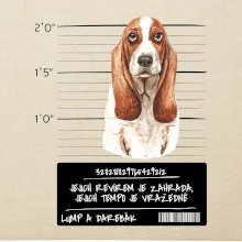 Baset - lump a darebák