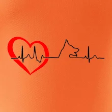 Německý ovčák ekg