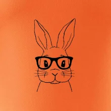 Králík s brýlemi