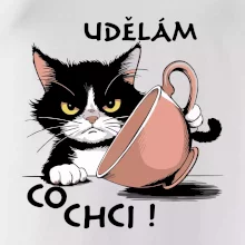 Kočka - udělám co chci