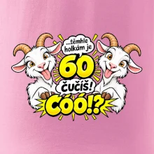 Těmhle holkám je 60, čučíš co?
