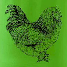 Slepice černobílá