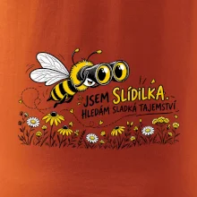Jsem slídilka hledám sladká tajemství