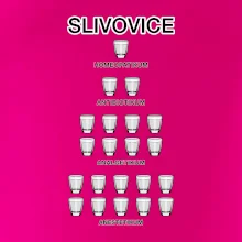 Slivovice počítání (Hana-creative)