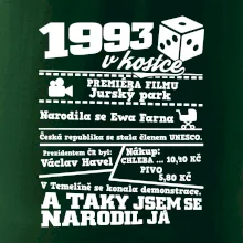 1993 v kostce