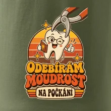 Odebírám moudrost na počkání
