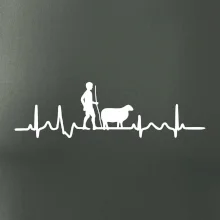 Ekg pastevec ovcí
