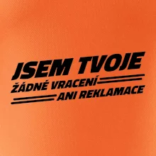 Jsem tvoje žádné vracení