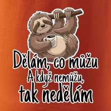 Dělám, co můžu. A když nemůžu, tak nedělám.