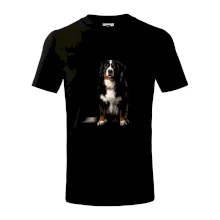 Bernský salašnický pes sedící černá fotka