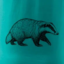 Zvířata Krkonoš – jezevec lesní