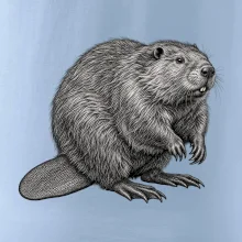 Zvířata Šumavy – Bobr evropský