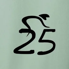 Cyklista slaví pětadvacítku (25)