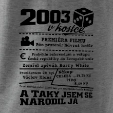 2003 v kostce