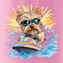 Yorkšírský teriér na vodním skútru