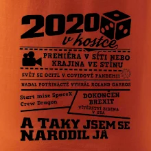 2020 v kostce