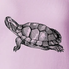 Tužkou kreslená želva