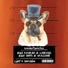 Lump a darebák francouzský buldoček