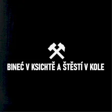 BINEĆ V KSICHTĚ A ŠTĚSTÍ V KOLE﻿