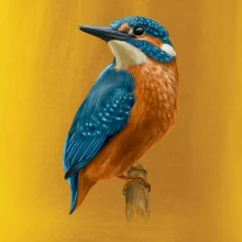 Lednáček kreslený