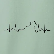 Stafordšírsky bulteriér EKG