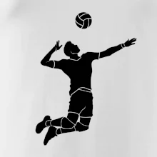 Volejbal nápřah muž