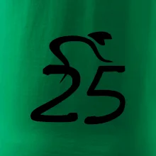 Cyklista slaví pětadvacítku (25)