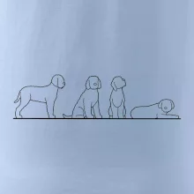 Lagotto romagnolo postavy linka