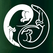 Jezevčíci - Jin jang