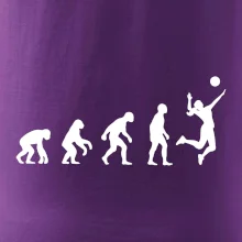 Evoluce volejbal culík