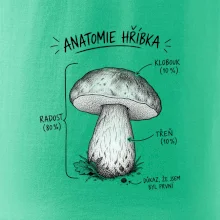 Anatomie hříbka