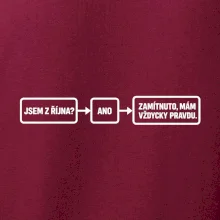 Jsem z října mám vždycky pravdu diagram