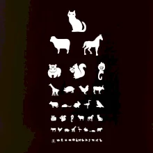 Oční test zvířatka